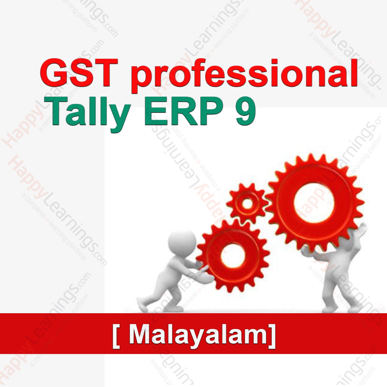GST Professional With Tally. ERP 9